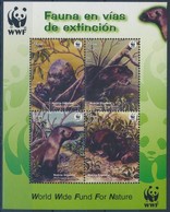 ** 2004 WWF: Óriásvidra Blokk Mi 27 - Other & Unclassified