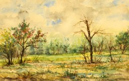 Mednyánszky Jelzéssel:  Erdőtűz Után. Akvarell, Papír, üvegezett Keretben, 31×48 Cm - Other & Unclassified