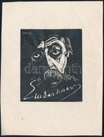 Havas László (1895-?): Ex Libris Olvashatatlan. Fametszet, Papír, Jelzett A Dúcon, 7×6,5 Cm - Otros & Sin Clasificación