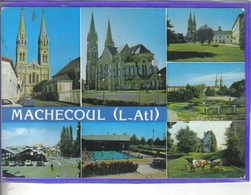 Carte Postale 44. Machecoul   Très Beau Plan - Machecoul