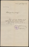 1914 Szeged, Szeged Sz. Kir. Város Tanácsának Hatósági Bizonyítványa Szegedi Illetőség Bizonyításának Tárgyában, A Város - Non Classés