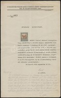 1916-1920 Jetts/Jecs/Jáky Gyula Hadnagy Bizonyítványa A Kolozsvári Magyar Kir. Ferenc József Tudományegyetem Jog és Álla - Ohne Zuordnung