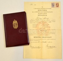 1949 Bp., A Budapesti Műszaki Egyetem által Kiadott Mérnöki Oklevél - Unclassified