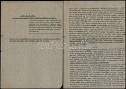 1949 Jegyzetek A Magyarok Világszövetsége Tervezett Fölfejlesztéséhez Barta Lajos Elnök Gépirata. 9 P - Non Classés