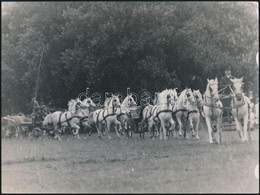 Cca 1930 Fogathajtók Kaksa Rajmund Tatai Fényképész Fotója. Hagyatékából.24x18 Cm - Sonstige & Ohne Zuordnung
