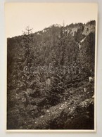 Cca 1910 Magas-Tátra, Tokornya, Erdélyi Mór Felvétele, Hátulján Feliratozva, 11,5×16 Cm /
Cca 1910 Vysoké Tatry, Tokorny - Autres & Non Classés