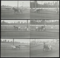 1975 Az ügető Derbyn Készült 10 Db Fotó (Api, Almás, Algéria, Absalom), Hátoldalon Feliratozott Fotók, 9×14 Cm - Other & Unclassified