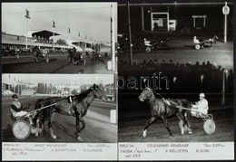 1983 Ügetői életképek, 2 Db Feliratozott Fotó, 18×13 Cm - Other & Unclassified