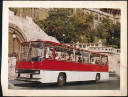 Cca 1966 Ikarus Busz Reklám Kép, Hátoldalán Német Szöveggel, 19,5x25 Cm - Advertising