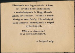 1956 Elvtársak Van Fegyverünk. Forradalmi Röplap 30x21 Cm - Sin Clasificación