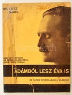 Fritz János, Dr.: Az Ember Keletkezése. - Három Interpelláció A Világhoz. Bp. 1931, Kir. Magy. Egyetemi Ny. 196 L., 5 T. - Ohne Zuordnung