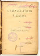 Ellenbach Mátyás: A Gyengeelméjűek Világából. Bp., 1902. Korabeli, Kissé Viseltes Félvászon Kötésben.  115p. - Sin Clasificación