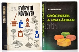 Rápóti - Romvári: Gyógyító Növények. Dr. Szendei Ádám: Gyógyszer A Családban. 2 Gyógyszerészettel Gyógynövényekkel Kapcs - Ohne Zuordnung