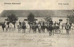 T3 1916 Bábolna, Eladó Kancák, Méntelep. Kiadja Fischer Gyula (fa) - Unclassified