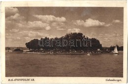 T2/T3 Balatonföldvár, Galambsziget (fl) - Unclassified