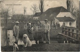 T3 1917 Ormánd, Ormándpuszta (Komárváros, Zalakomár); Uradalom, Birtokosék Kutyákkal (ázott Sarok / Wet Corner) - Unclassified