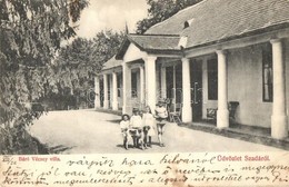 T2/T3 1906 Szada, Báró Vécsey Villa, Gyerekek Kutyával - Unclassified