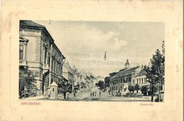 T2/T3 1911 Szekszárd, Garay Tér, Pirnitzer József és Fia üzlete, Garay Szobor. W. L. Bp. 5049. (EK) - Unclassified