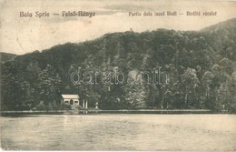 T2/T3 Felsőbánya, Baia Sprie; Bódi-tó / Lacul Pintea / Lake  (EK) - Sin Clasificación