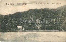 T2/T3 Felsőbánya, Baia Sprie; Bódi-tó / Lacul Pintea / Lake  (EK) - Unclassified