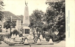 T2/T3 Gyulafehérvár, Karlsburg, Alba Iulia; Custozza Szobor. Petri F. Vilmos Kiadása / Custozza-Denkmal / Statue (EK) - Sin Clasificación