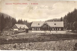 T2 Palotailva, Lunca Bradului; Erdészlak. Kieselstein Mendel Kiadása / Forestry House - Non Classés