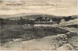 T2/T3 Pankota, Pancota; Kálvária Szőlőhegy A Világosi Várral, Menczer A. Adolf Kiadása / Vineyards With Castle (EK) - Unclassified