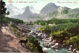 ** T1/T2 Tátra, Tatry; Zöld-tóhoz Vezető út, Cattarino Sándor Kiadása / Weg Zum Grünen See / Road - Non Classés