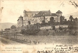 * T2/T3 1904 Zólyom, Zvolen; Vár, Vasúti Sín / Castle, Railway Track (Rb) - Ohne Zuordnung