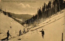 T3 Tiszabogdány, Bohdan; Lipoveczi Völgy, A Szálfának Csusztatóba Indítása / Valley, Woodcutters, Sliding Tree (EB) - Ohne Zuordnung