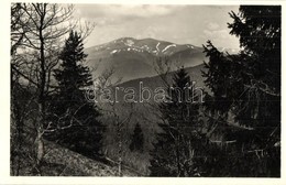 T2 Tiszaborkút, Kvaszi; Bliznica A Mencsulról Nézve / Hora Blyznytsya, Menchul / Mountain Peak - Ohne Zuordnung