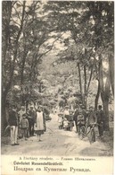 T2 1909 Ruszanda-fürdő, Banja Rusanda (Melence, Melenci); A Fősétány Részlete, Kerékpár, Tolókocsi / Promenade, Bicycle, - Ohne Zuordnung