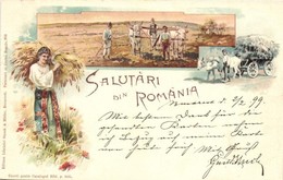 T2 1899 Salutari Din Romania, Greetings From Romania! Folklore, Ox Cart, Farmers Ploughing. Storck & Müller 950. Art Nou - Unclassified