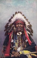 ** T2 Chief Black Chicken. Raphael Tuck & Sons' 'Oilette' Postcard No. 3495. Indian Chiefs - Unclassified