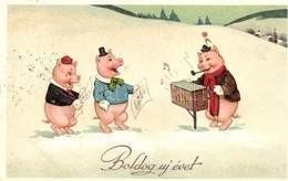 T2/T3 New Year, Singing Pigs Litho (EK) - Unclassified