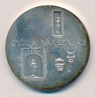 Lapis András (1942-) DN 'Gyulai Várszínház' Ag Emlékérem (39,03g/0.835/42,5mm) T:1-,2 Patina - Ohne Zuordnung