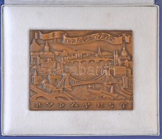 Madarassy Walter (1909-1994) 1973. 'Budapest 1873-1973' Centenáriumi Br Plakett Eredeti Dísztokban (78x101mm) T:1- - Ohne Zuordnung