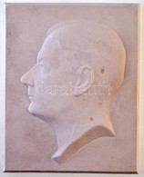 Seregély Dezső (1867-1948) DN Férfi Portré Balra, Gipsz Plakett (233g/116x144mm) T:1 / Hungary ND Male Portrait To The L - Zonder Classificatie