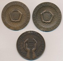 Vincze Dénes (1914-1972) DN 'A Vállalat Kiváló Brigádja' Br Plakett (2x) (70mm) + DN 'Hazafias Népfront / Kiváló Társada - Non Classificati