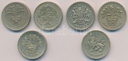 Nagy-Britannia 1985-1995. 1Ł (6xklf) T:2,2-
Great Britain 1985-1995. 1 Pound (6xdiff) C:XF,VF - Non Classés