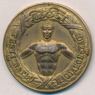 Pincés Puder István (1907-) 1933. 'Pesti Napló - Az Est - Magyarország / Regatta I.' Aranyozott Br Díjérem (40,5mm) T:2 - Unclassified