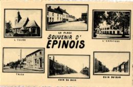 BELGIQUE - HAINAUT - BINCHE - EPINOIS - Souvenir D'Epinois (Multivues). - Binche