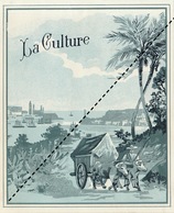 1893-1894 étiquette Boite à Cigare Havane LA CULTURE - Labels