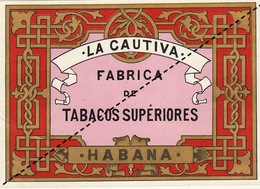 1893-1894 étiquette Boite à Cigare Havane - Etiquettes