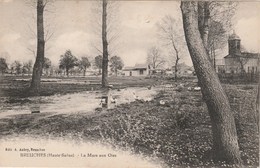 BREUCHES-LES LUXEUIL   70 HAUTE SAONE   CPA  LA MARE AUX OIES - Otros & Sin Clasificación