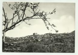 CUGLIERI - PANORAMA  VIAGGIATA FG - Oristano