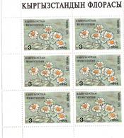 Kyrgyzstan.1994 Flowers. M/S  Michel # 35 KB - Kirgisistan