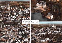 Gorron - Vues Multiples - Château - Cachet Hexagonal Notre-Dame Du Touchet - Gorron