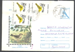 75368- HOUSE SPARROW, BIRDS, COVER STATIONERY, 1996, ROMANIA - Spatzen