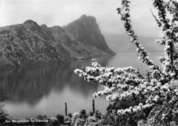 Der Bürgenstock Im Frühling (Carte 10X15 Cm) - Other & Unclassified